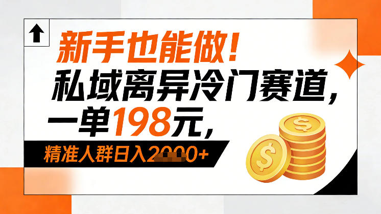 新手也能做！私域离异冷门赛道，一单198，精准人群日入1k+-网创资源站