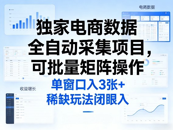 独家电商数据全自动采集项目，可批量矩阵操作，单窗口日入3张+，稀缺玩法闭眼入【揭秘】-网创资源站