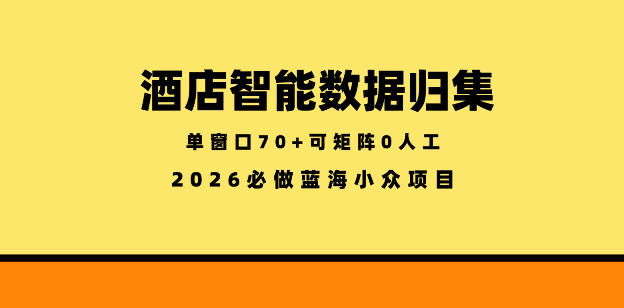 酒店智能数据归集，小众蓝海已经稳定半年之久，单窗口70+零成本矩阵开干【揭秘】-网创资源站