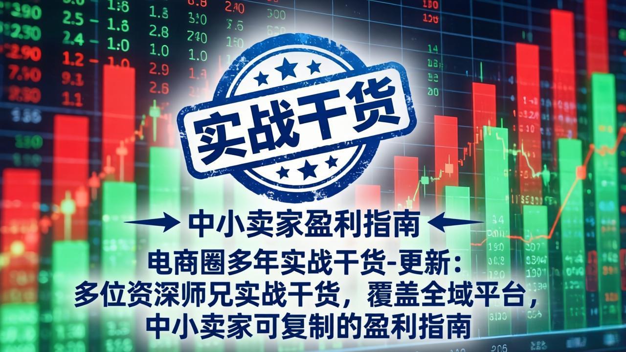 电商圈多年实战干货-更新5月20：多位资深师兄实战干货/覆盖全域平台，中小卖家可复制的盈利指南-网创资源站
