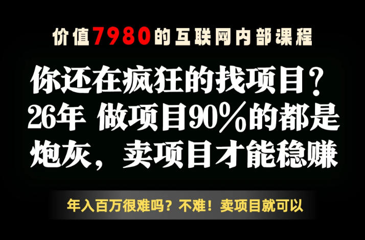 26年请不要疯狂的找项目了，卖项目远比你想象的暴利，你也可以月入10W+【揭秘】-网创资源站