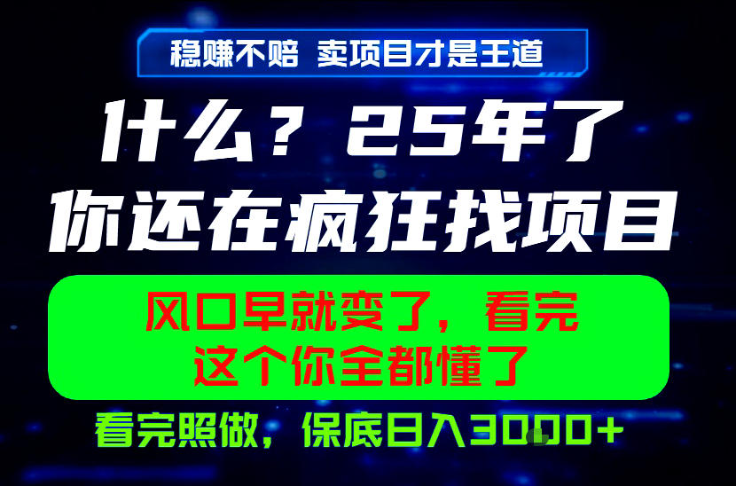 26年，请不要疯狂的找项目做了！卖项目才是真的稳賺不赔，看完照做，保底日入1k+【揭秘】-网创资源站