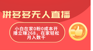 （11521期）拼多多无人直播，小白在家0粉0成本开播立赚268，在家轻松月入数千-网创资源站