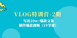 VLOG特训营第2期：写出10w+爆款文案，制作爆款视频（18节课）-网创资源站