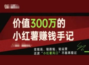价值300万的小红书赚钱手记，变现高、链路短、轻运营，这波“小红薯风口”不能再错过-网创资源站