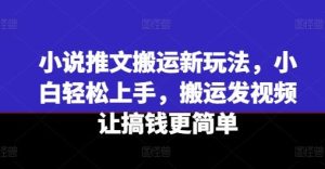 小说推文搬运新玩法，小白轻松上手，搬运发视频让搞钱更简单-网创资源站
