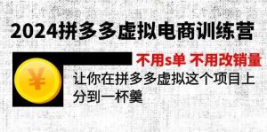2024拼多多虚拟电商训练营 不用s单 不用改销量 在拼多多虚拟上分到一杯羹-网创资源站