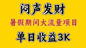 （11558期）闷声发财，假期大流量项目，单日收益3千+ ，拿出执行力，两个月翻身-网创资源站