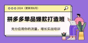 2024拼多多单品爆款打造班,充分应用你的流量,增长实战培训(更新6月)-网创资源站