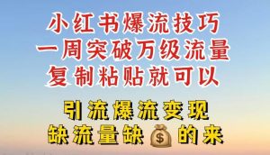 小红书爆流技巧，一周突破万级流量，复制粘贴就可以，引流爆流变现【揭秘】-网创资源站