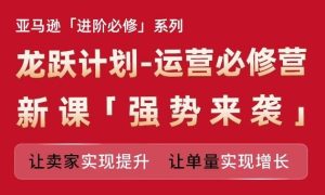亚马逊进阶必修系列，龙跃计划-运营必修营新课，让卖家实现提升 让单量实现增长-网创资源站