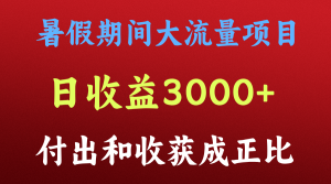 一天收益3000+，暑假期间， 这个项目才是真火-网创资源站