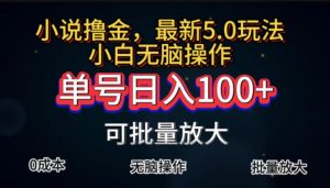 （11651期）全自动小说撸金，单号日入100+小白轻松上手，无脑操作-网创资源站