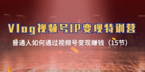 （11654期）Vlog 视频号IP变现特训营，普通人如何通过视频号变现赚钱（15节）-网创资源站