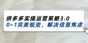 （11658期）2024_2025拼多多实操运营策略3.0，0~1完美蜕变，解决信息焦虑（38节）-网创资源站