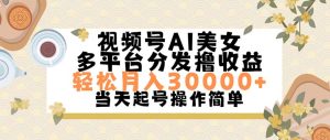 （11684期）视频号AI美女，轻松月入30000+,操作简单轻松上手-网创资源站