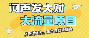 （11688期）闷声发大财，大流量项目，月收益过3万，只要你努力，两个月就能翻身-网创资源站