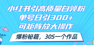 （11692期）小红书引高质量白领粉，单号日引300+，可放大操作，爆粉秘籍！30s一个作品-网创资源站