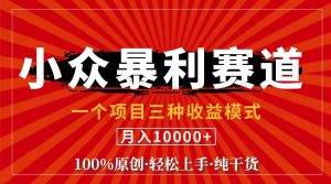 （11695期）视频号【中老年粉深信不疑】小众赛道 100%原创 手把手教学 新号3天收益…-网创资源站