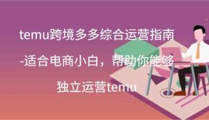temu跨境多多综合运营指南-适合电商小白，帮助你能够独立运营temu(44节)-网创资源站