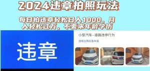 (11743期)2024违章拍照新玩法,推广躺赚+拍照赚钱双模式,日入1000+-网创资源站