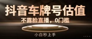 抖音车牌号估值,不露脸直播,0门槛,小白秒上手【揭秘】-网创资源站
