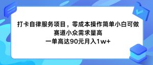 打卡自律服务项目，零成本操作简单小白可做，赛道小众需求量高，一单高达90元月入1w+-网创资源站