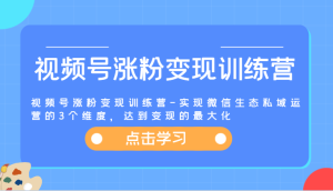 视频号涨粉变现训练营-实现微信生态私域运营的3个维度，达到变现的最大化-网创资源站