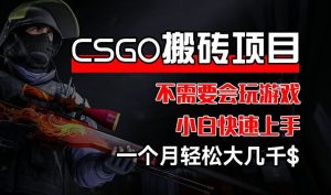 CSGO 装备搬砖项目，操作简单，不需要会玩游戏，小白也能快速上手，一个月轻松大几千【揭秘】-网创资源站