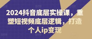 2024抖音底层实操课,重塑短视频底层逻辑,打造个人ip变现-网创资源站