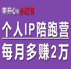 小红书个人IP陪跑营,60天拥有自动转化成交的双渠道个人IP,每月多赚2w-网创资源站