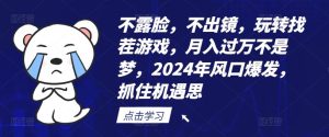 不露脸，不出镜，玩转找茬游戏，月入过万不是梦，2024年风口爆发，抓住机遇【揭秘】-网创资源站