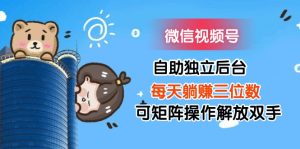 （11910期）微信视频号自助独立后台每天躺赚三位数可矩阵操作解放双手-网创资源站