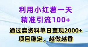 利用小红书一天精准引流100+，通过卖项目单日变现2k+，项目稳定，越做越香【揭秘】-网创资源站