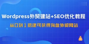 WordPress外贸建站+SEO优化教程,从0到1搭建可获得询盘外贸网站(57节课)-网创资源站