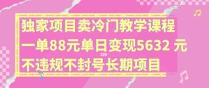 独家项目卖冷门教学课程一单88元单日变现5632元违规不封号长期项目【揭秘】-网创资源站