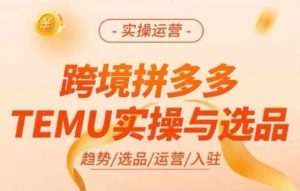 跨境拼多多TEMU实操与选品，多多temu跨境选品运营实操-网创资源站