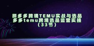 拼多多跨境TEMU实战与选品,多多temu跨境选品运营实操(33节)-网创资源站