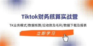 (11978期)Tiktok财务核算实战营:TK业务模式/数据核算/应收款及毛利/数据下载及报表-网创资源站