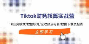 Tiktok财务核算实战营:TK业务模式/数据核算/应收款及毛利/数据下载及报表-网创资源站