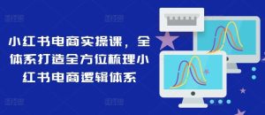 小红书电商实操课,全体系打造全方位梳理小红书电商逻辑体系-网创资源站