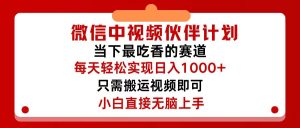 (12017期)微信中视频伙伴计划,仅靠搬运就能轻松实现日入500+,关键操作还简单,…-网创资源站