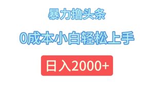 （12068期）暴力撸头条，0成本小白轻松上手，日入2000+-网创资源站