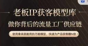 老板IP流量供应链，动作越少，账号越好，使用拿来就能用的万能模型，快速为产品获客翻N倍-网创资源站