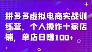 拼多多虚拟电商实战训练营，个人操作十家店铺，单店日赚100+-网创资源站