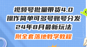 (12093期)24年8月最新玩法视频号批量带货4.0,操作简单可多号账号分发,附全套落…-网创资源站
