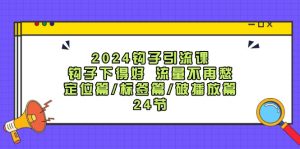 （12097期）2024钩子·引流课：钩子下得好 流量不再愁，定位篇/标签篇/破播放篇/24节-网创资源站