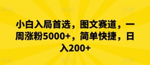 小白入局首选，图文赛道，一周涨粉5000+，简单快捷，日入200+-网创资源站