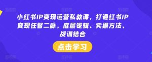 小红书IP变现运营私教课,打通红书IP变现任督二脉,底层逻辑、实操方法、战训结合-网创资源站
