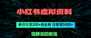 (12164期)小红书虚拟资料日引流200+创业粉,单日变现5000+-网创资源站